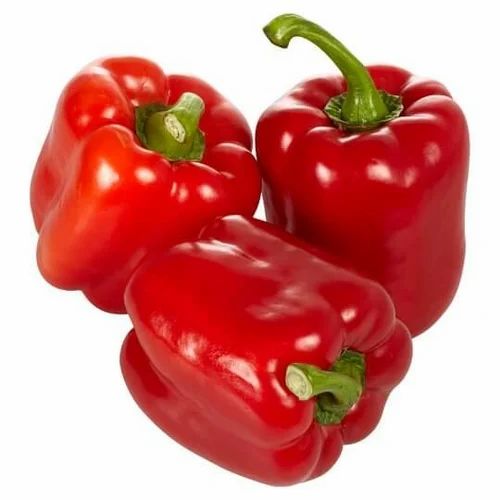 Capsicum - Red