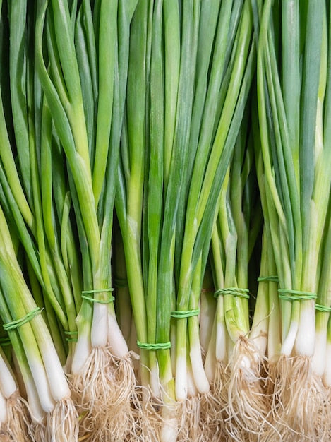 Eschalots