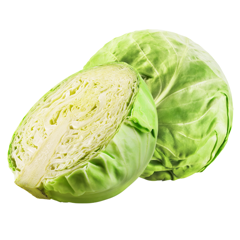 Cabbage - Green