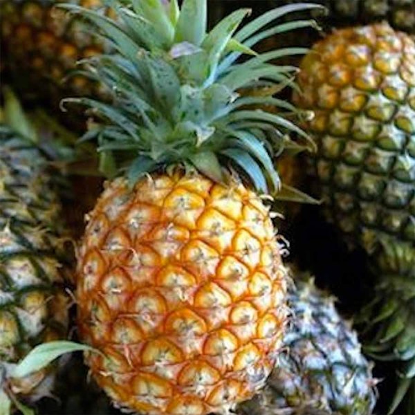 Pineapples