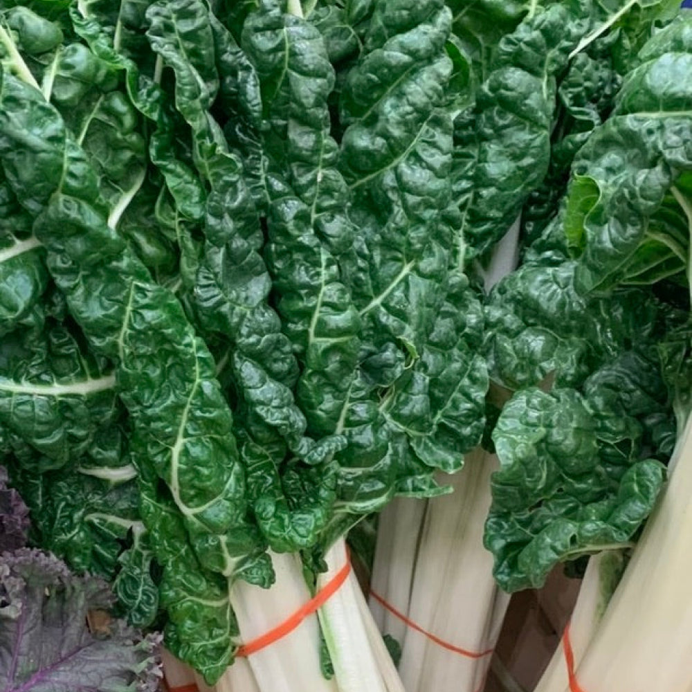 Silverbeet