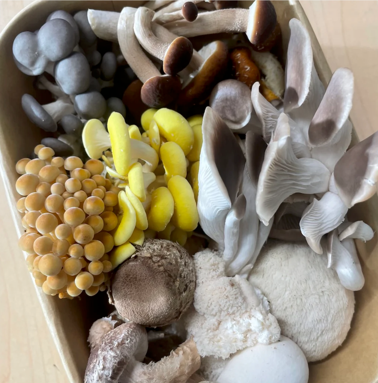 Mushrooms - Gourmet Medley