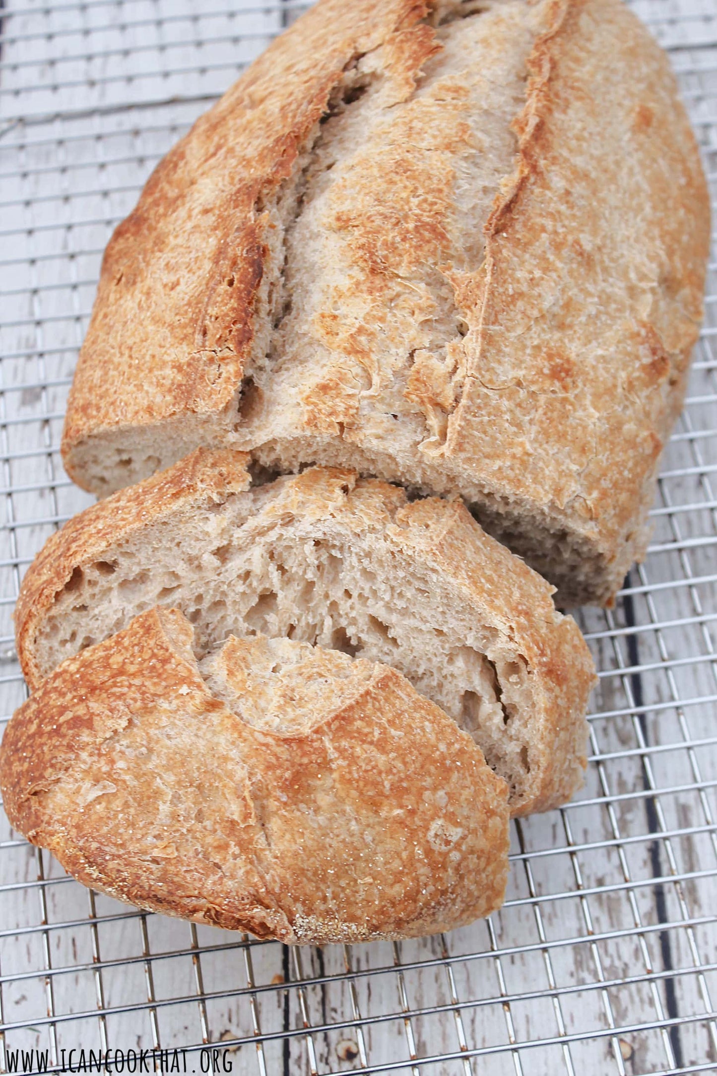 Spelt - Bread Sourdough