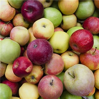 Apples - Juice 