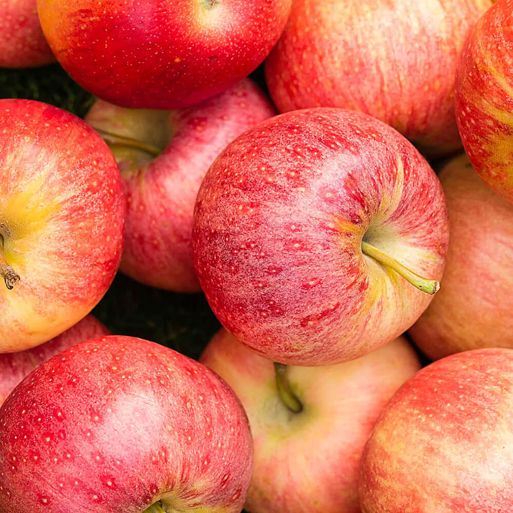 Apples - Royal Gala 