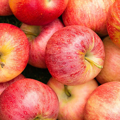 Apples - Royal Gala 