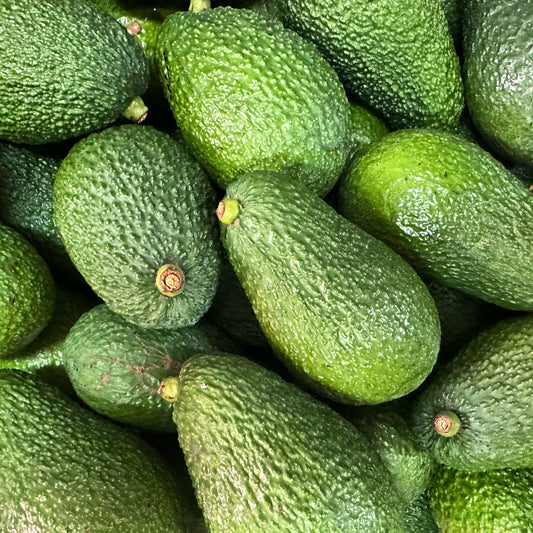 Avocado - Hass - Medium 