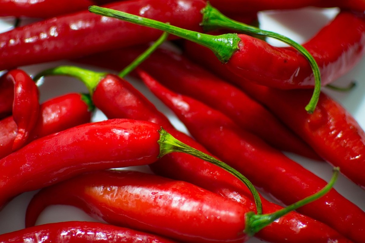Chilli - Red - Cayenne 