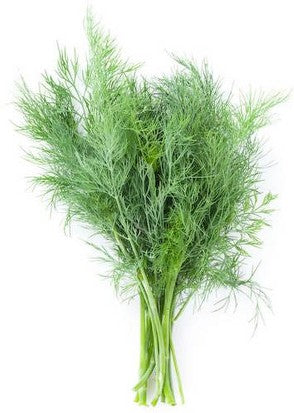 Dill 