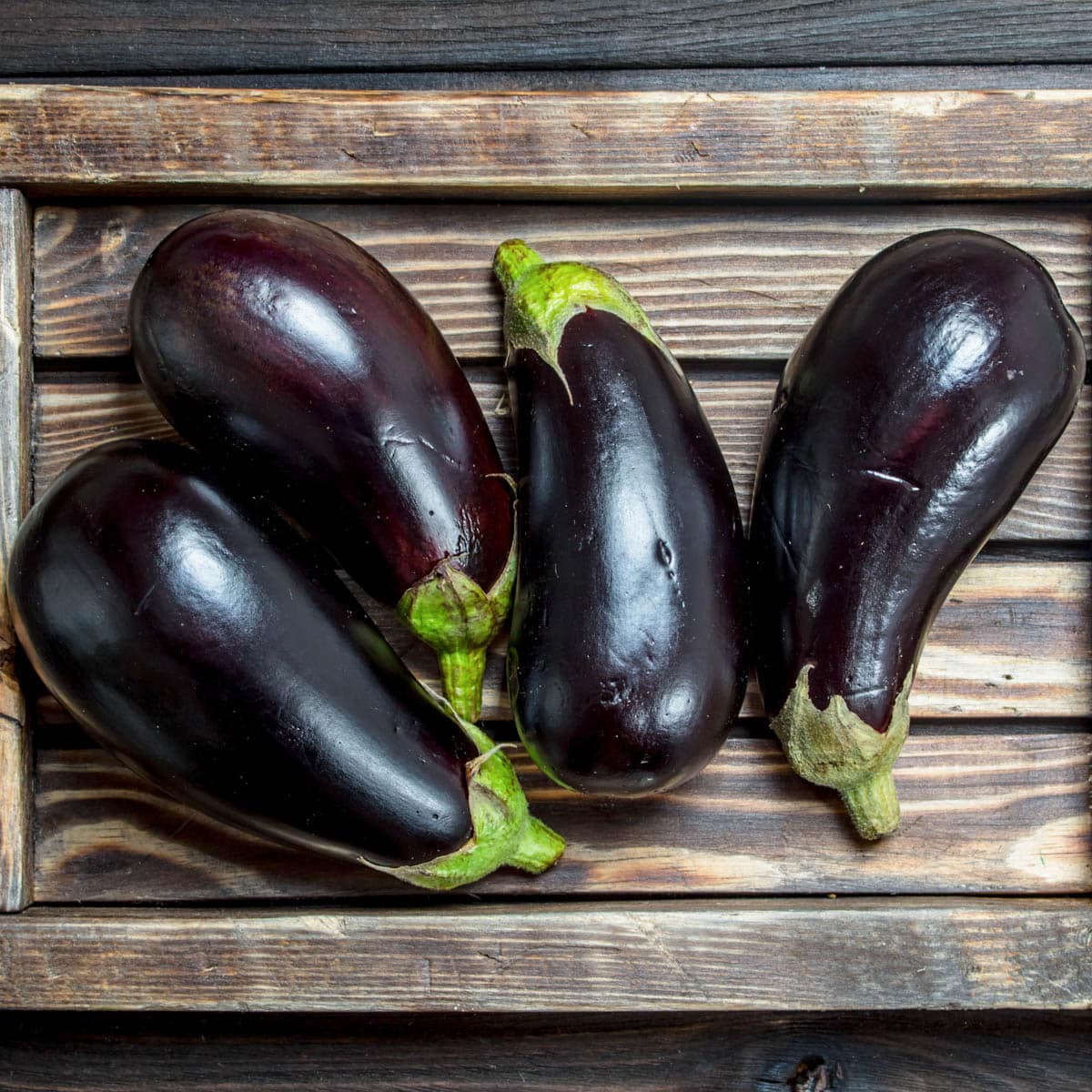 Eggplant 