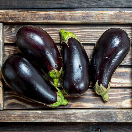 Eggplant 