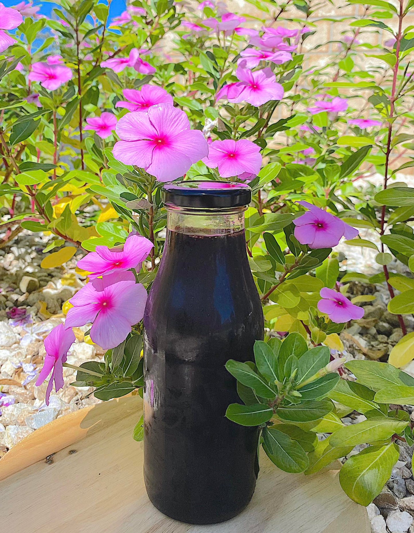 Elderberry Syrup 