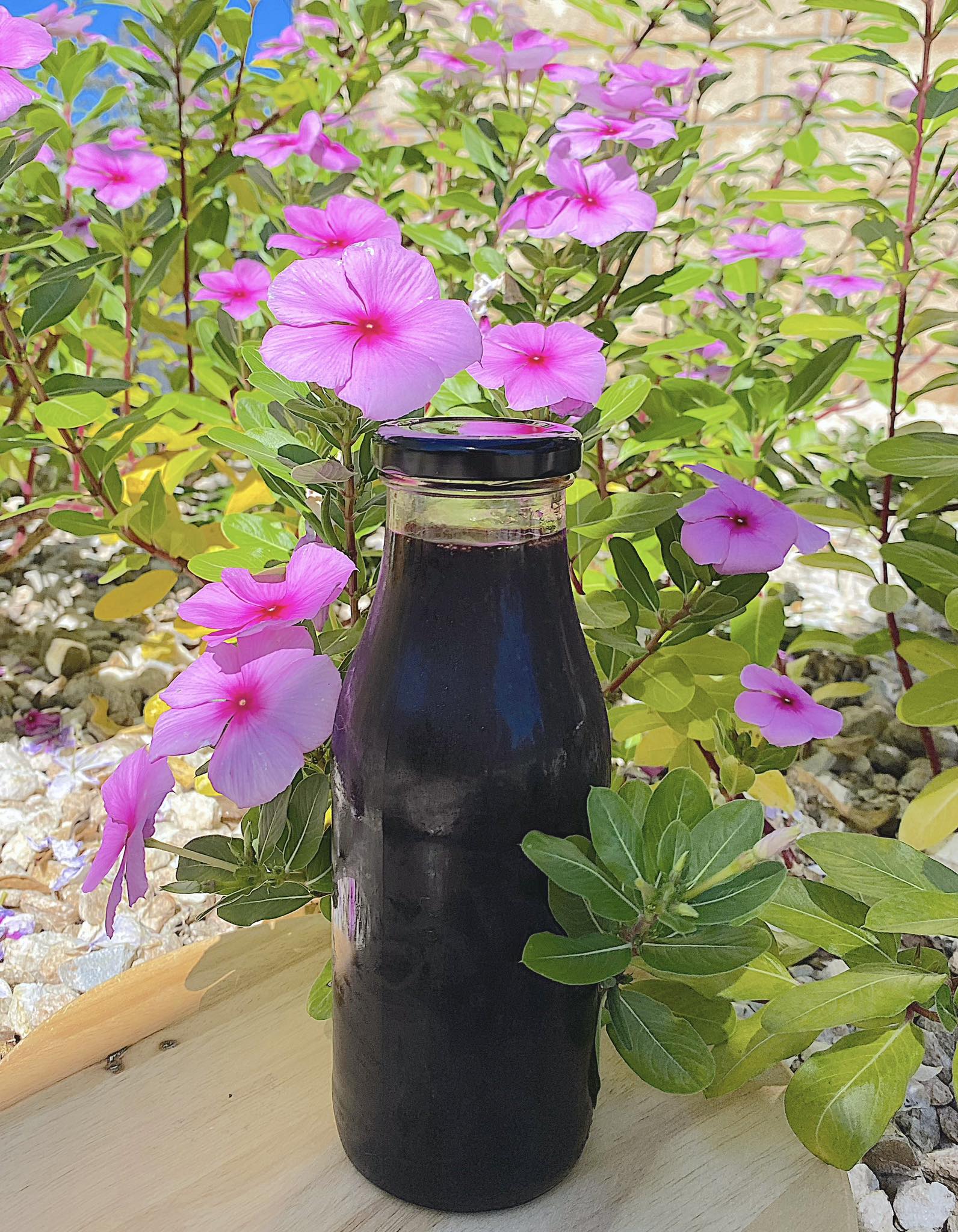 Elderberry Syrup 