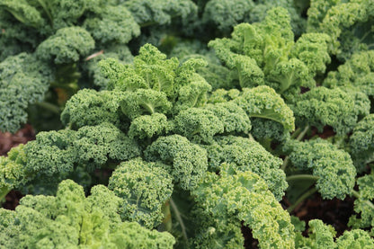 Kale 
