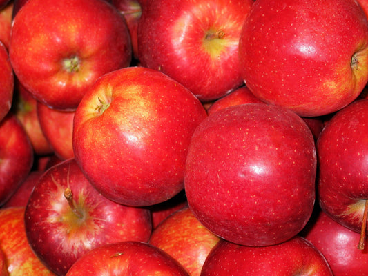 Apples - Royal Gala