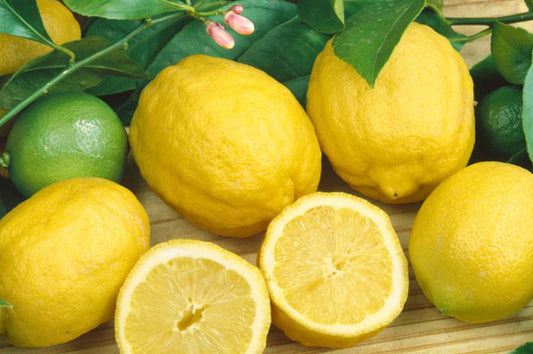 Lemons - Eureka 