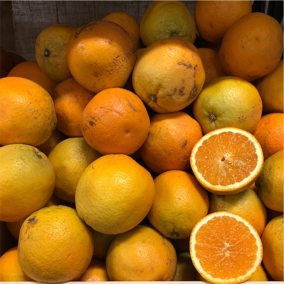Oranges - Valencia - Juicing