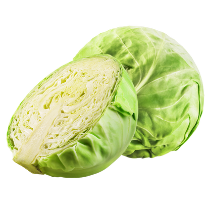 Cabbage - Green 