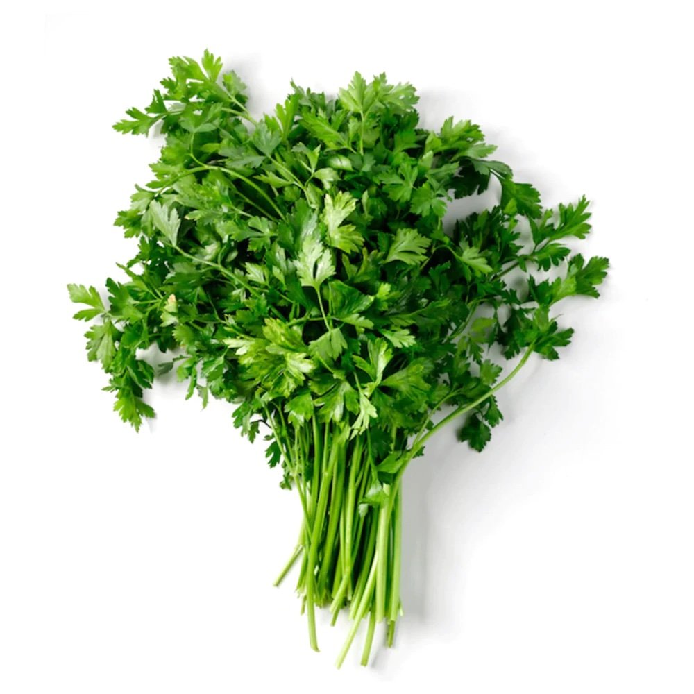 Parsley - Continental - Flat Leaf 