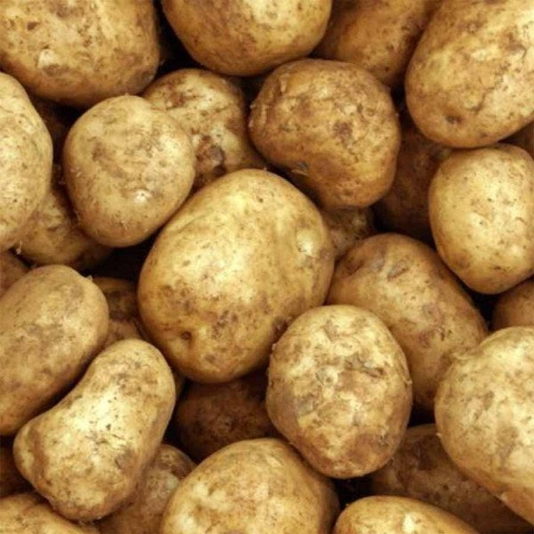 Potatoes - Sebago