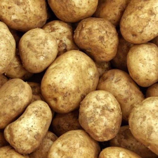 Potatoes - Sebago