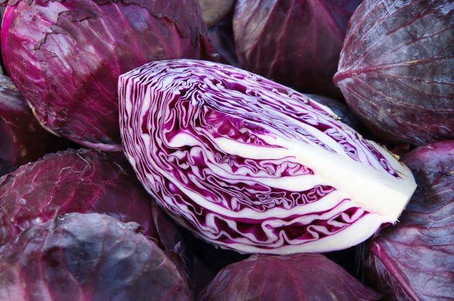 Cabbage - Red 