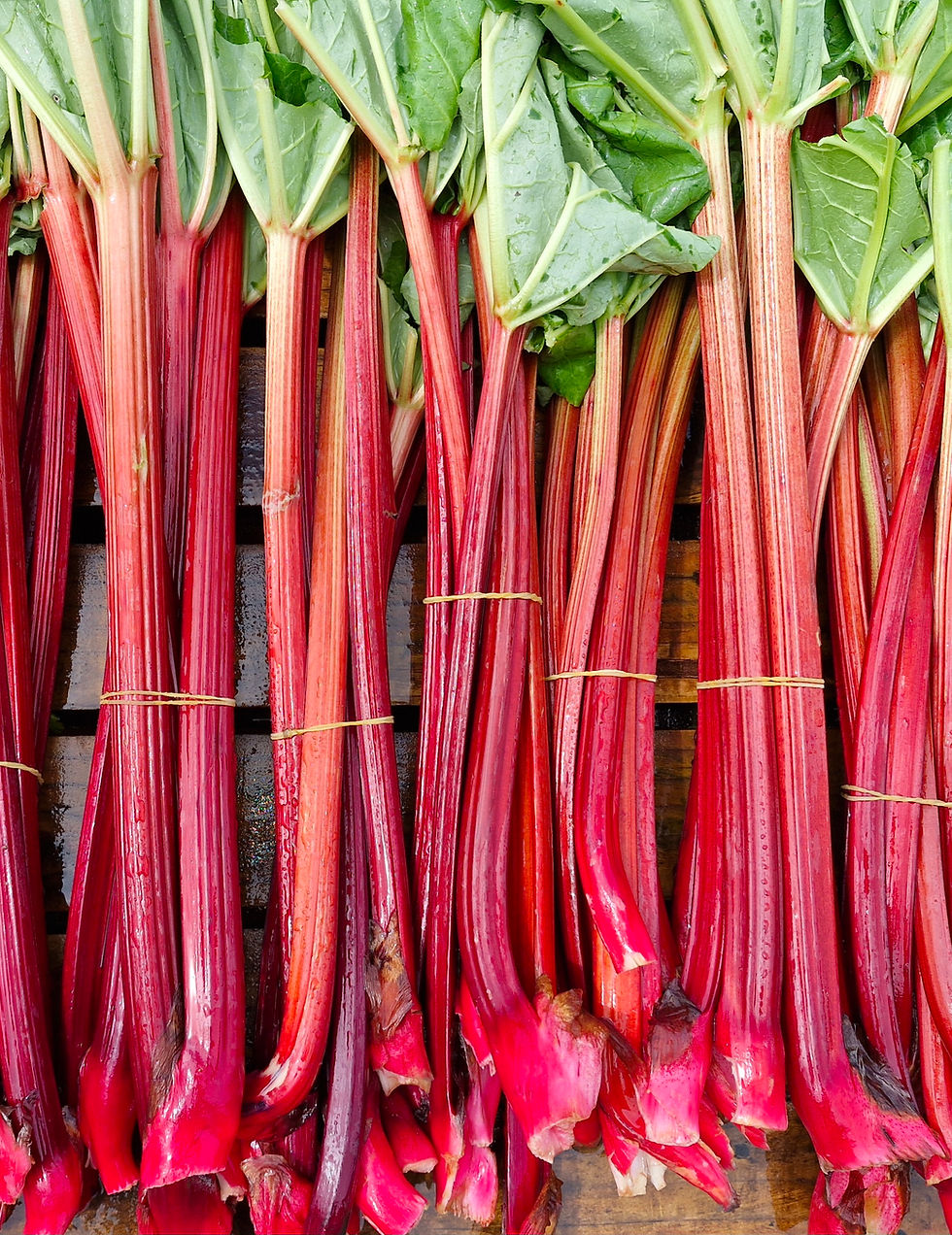 Rhubarb 
