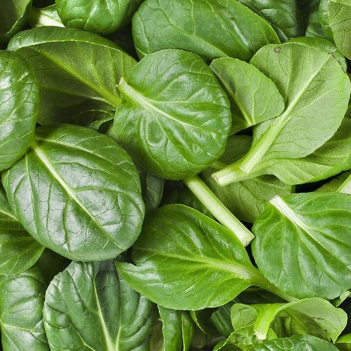 Spinach - Baby - 100gm 