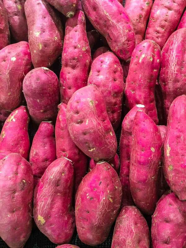 Sweet Potato - Red