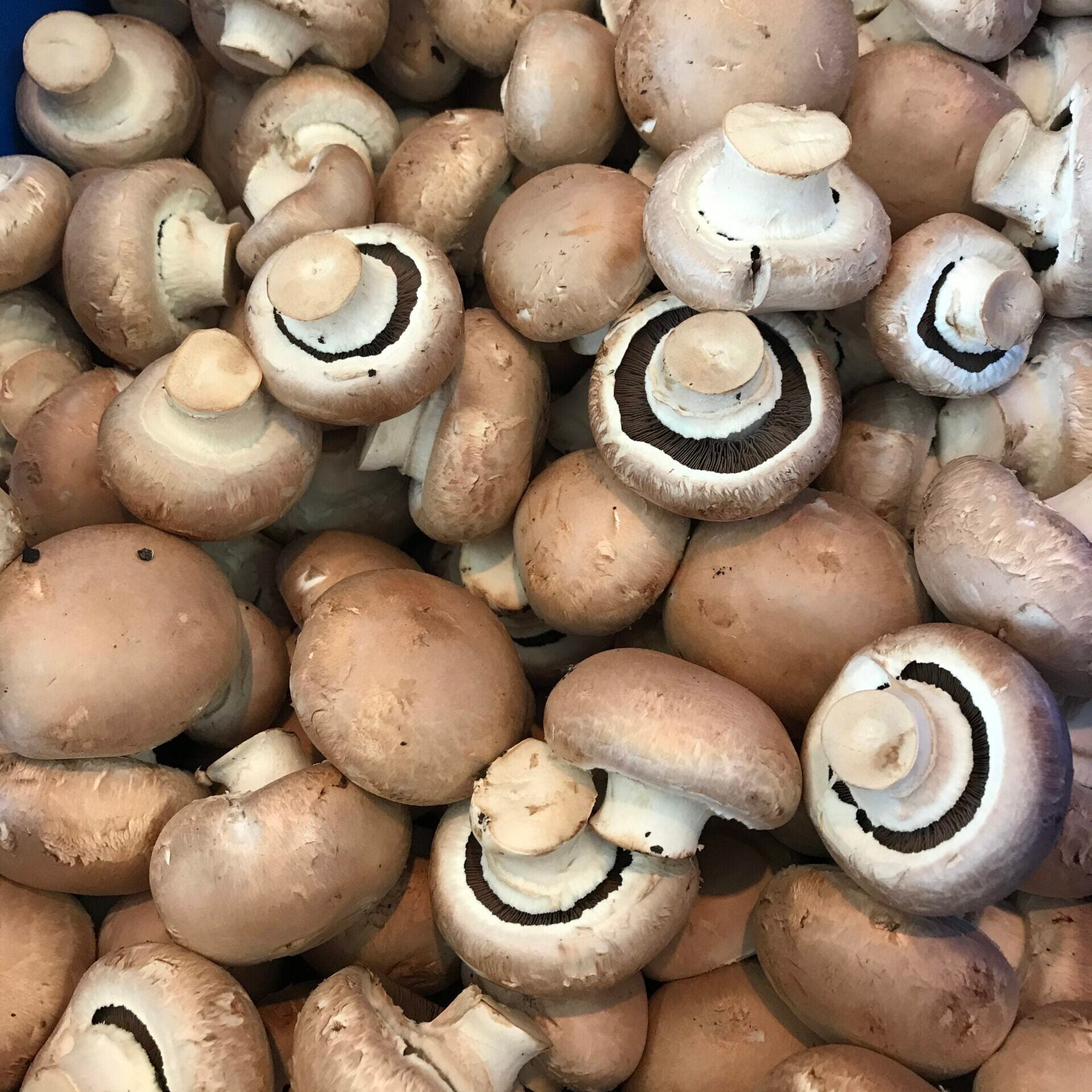 Mushrooms - Swiss Brown - Button 