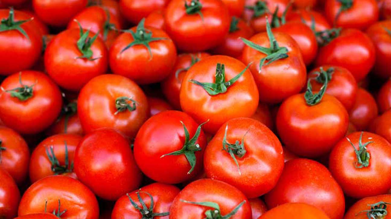 Tomatoes - Premium 