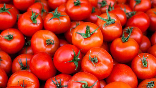 Tomatoes - Premium 
