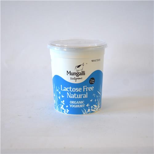 Yoghurt - Mungalli - Mungalli Lactose Free Natural 1kg tub. 500x500 14KB - LOW RES.