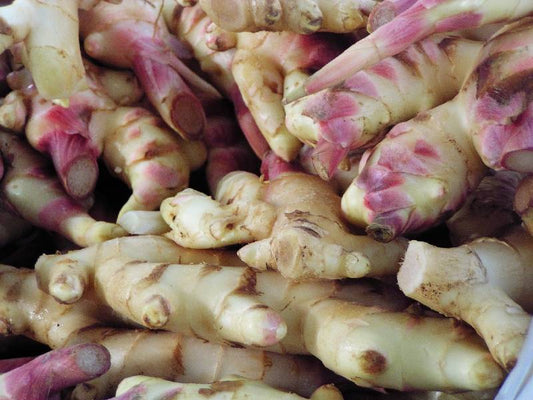 Ginger 
